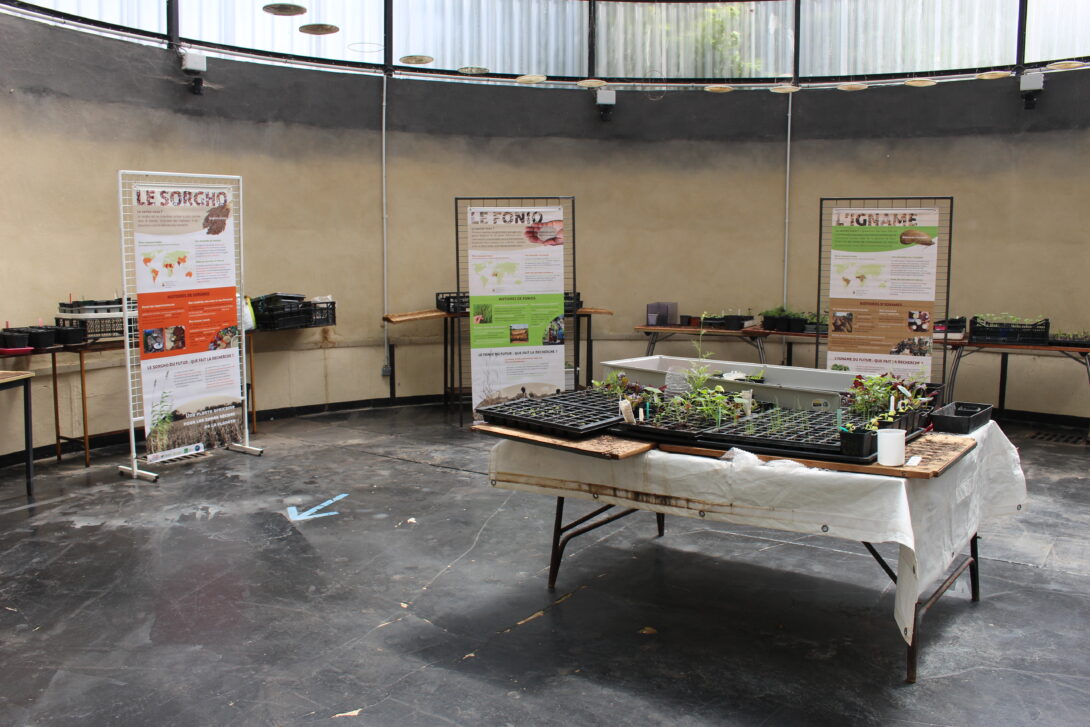 Exposition alimentaire « Mon assiette, ma planète »
