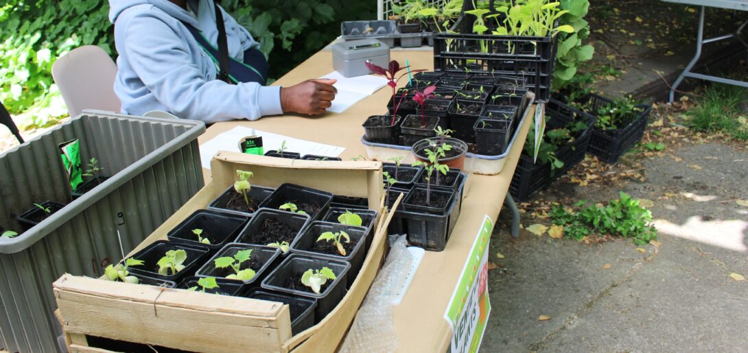 Bondy : Vente de plants