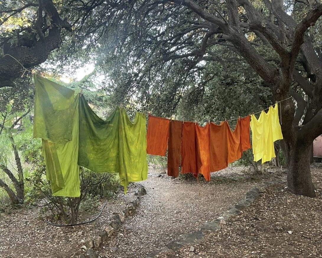 Projet artistique « En Forêt »