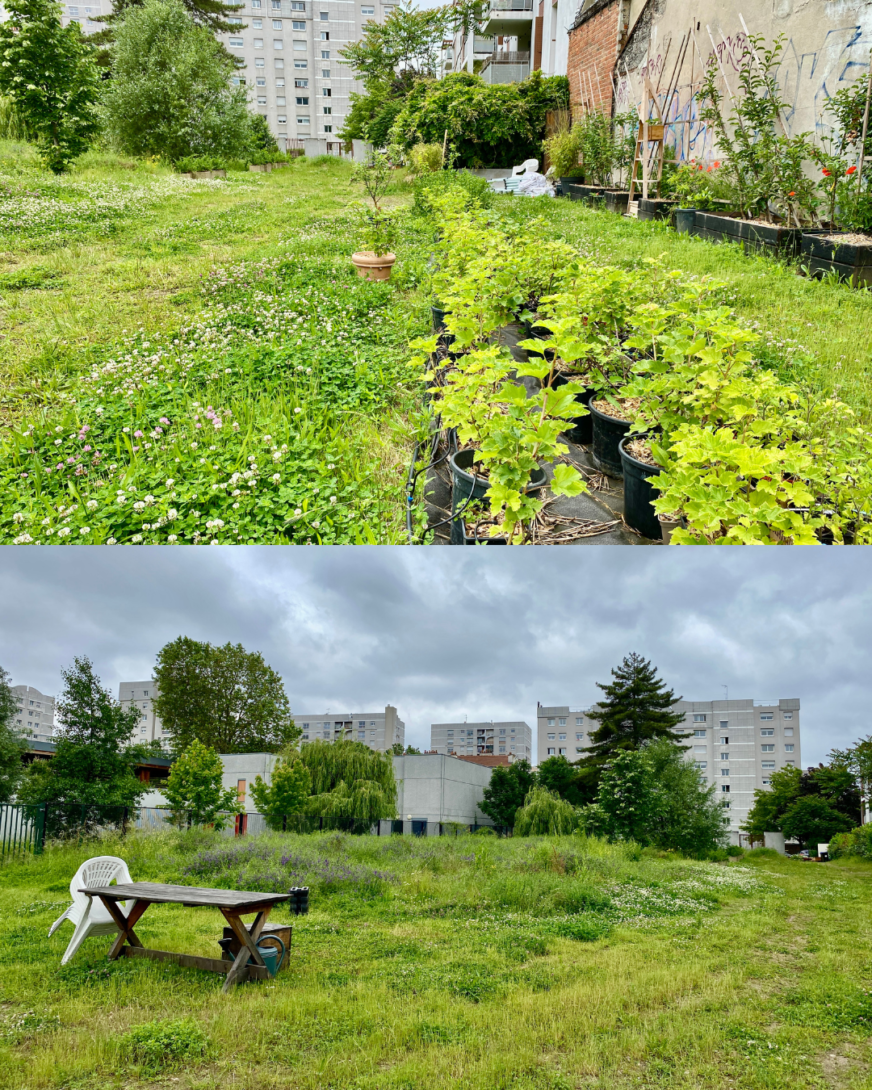 Aubervilliers : Venez découvrir l&rsquo;Agriculture Urbaine et Collaborative à la Cour Jardinée