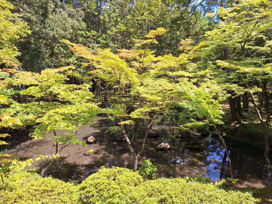 Voyage en Jardins et Temples Japonais