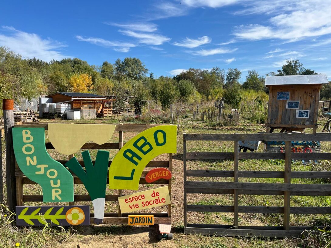 Visite du jardin (et plantation de courge) – Jardin LaboBinette