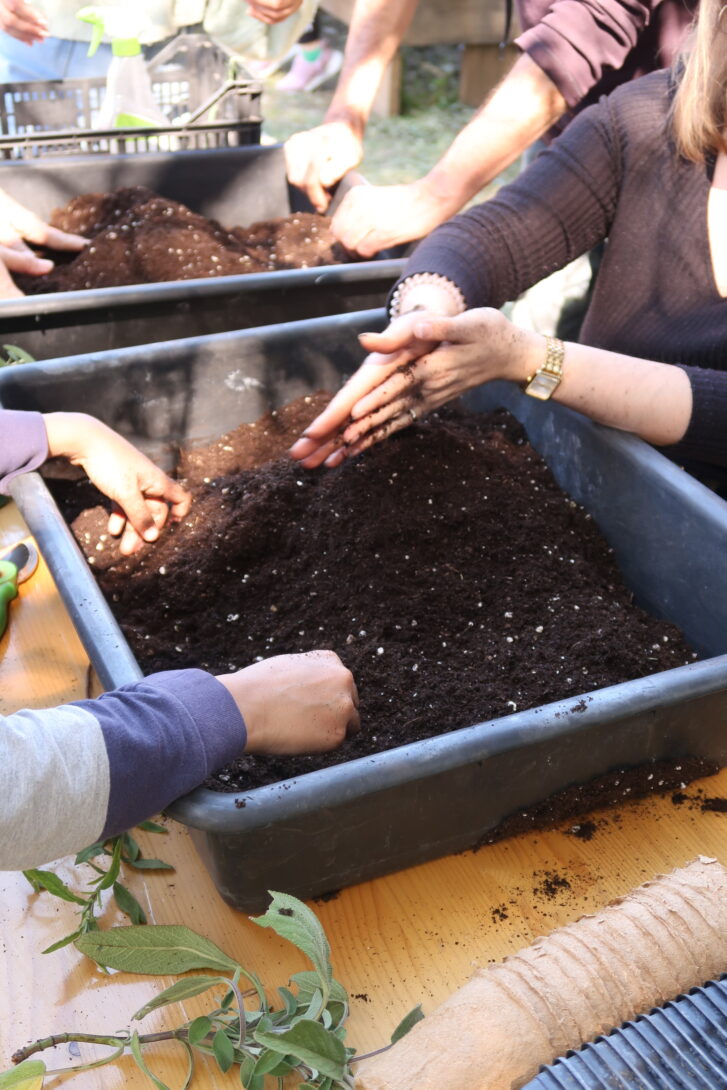 Atelier bombes à graines