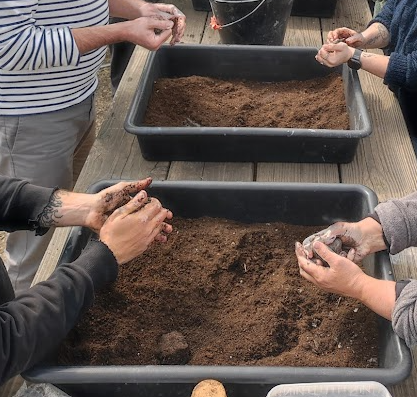 Atelier bombes à graines