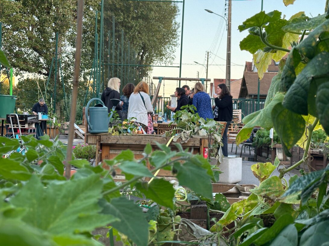 Portes ouvertes et fabrication de sels aromatiques aux jardins partagés Plaine Terre