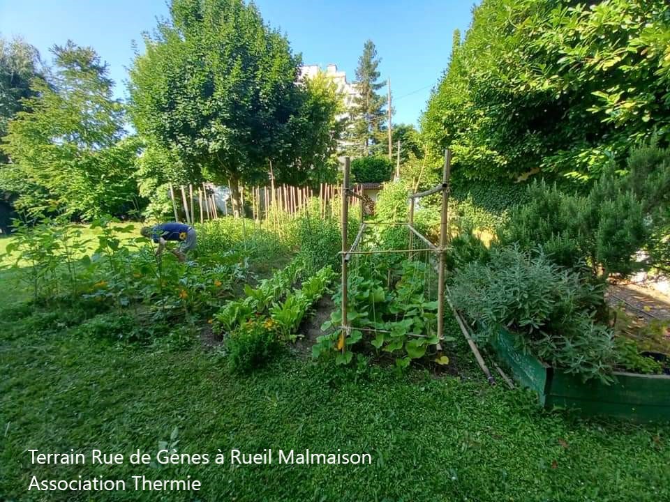 Visite potagers urbains, atelier semis et fabrication piège à frelons