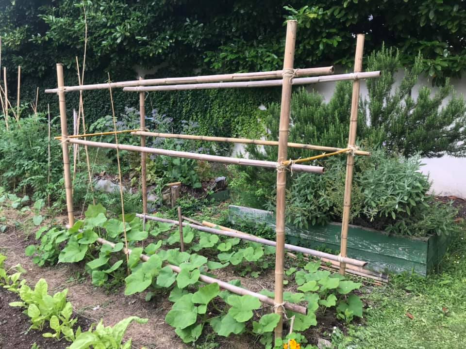 Visite potagers urbains, atelier semis et fabrication piège à frelons