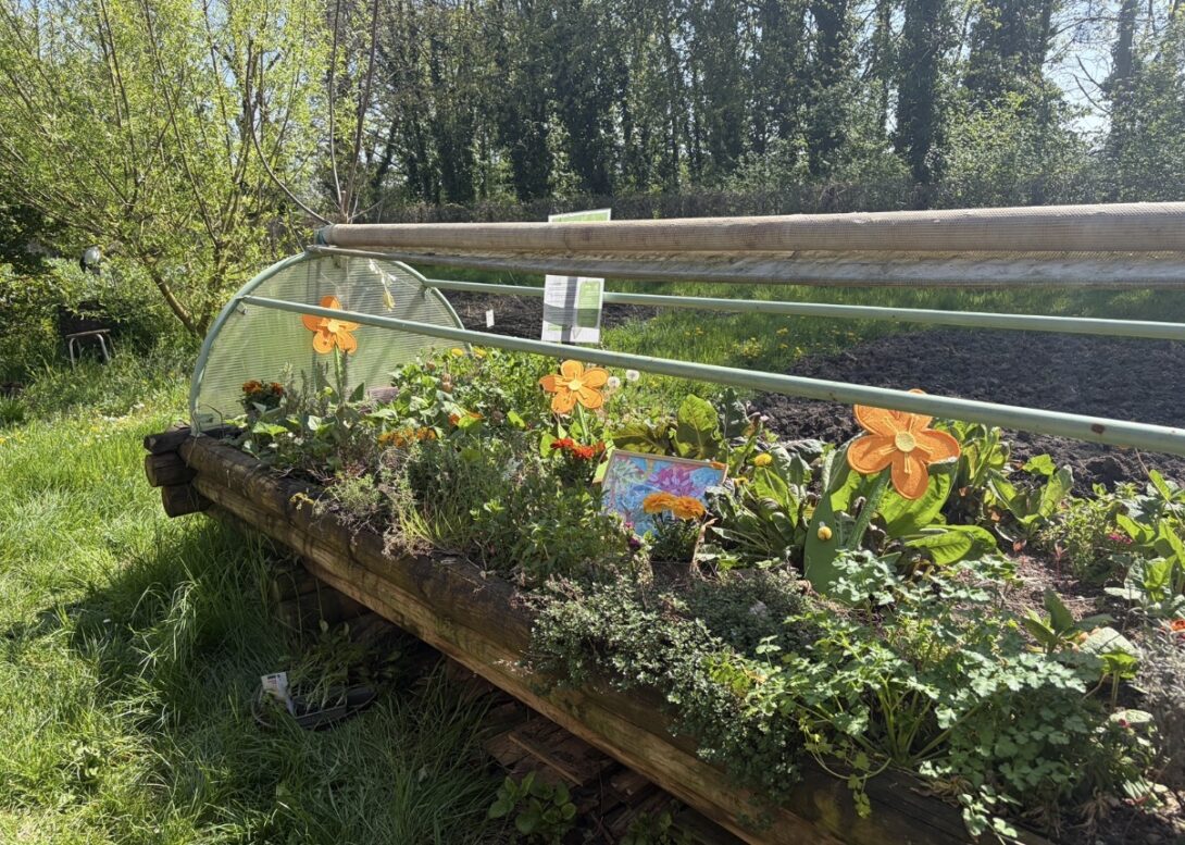 Gestion d&rsquo;un jardin partagé • Germes d&rsquo;Espoir