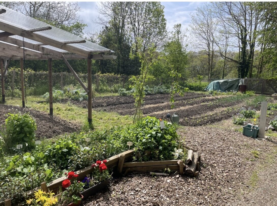Gestion d&rsquo;un jardin partagé • Germes d&rsquo;Espoir