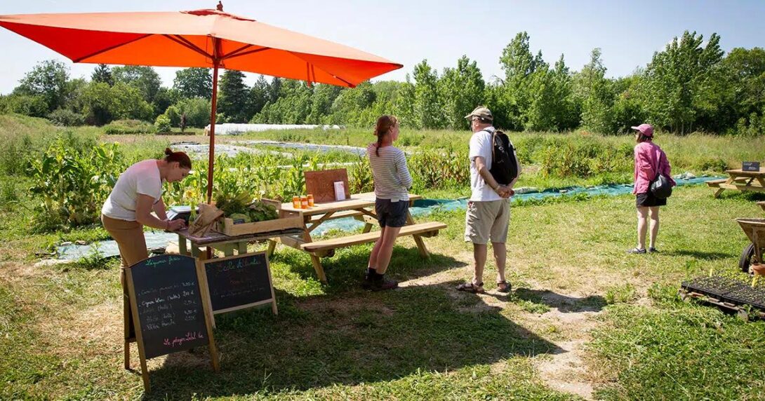 Journée pourtes ouvertes au Potager Label Vie !